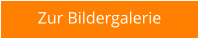 Zur Bildergalerie