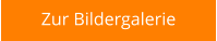 Zur Bildergalerie