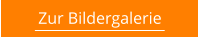 Zur Bildergalerie