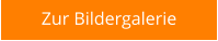Zur Bildergalerie