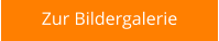 Anfragen oder anmelden