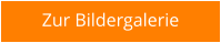 Zur Bildergalerie