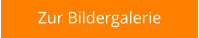 Zur Bildergalerie