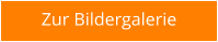 Zur Bildergalerie