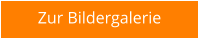 Zur Bildergalerie