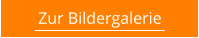 Zur Bildergalerie