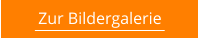 Zur Bildergalerie
