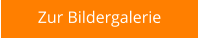 Zur Bildergalerie